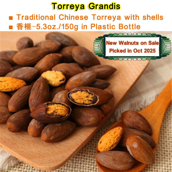 Chinese Torreya Grandis,Fresh New Torreya picked from Local Torreya Tree in Zhejiang in Oct 2025,Net 5.3oz./150g in Plastic Bottle, 香榧